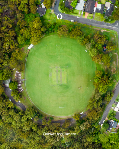 arial photo of a very green cricket ground surrounded by trees